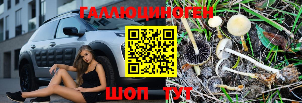 Псилоцибиновые грибы GOLDEN TEACHER Гуково